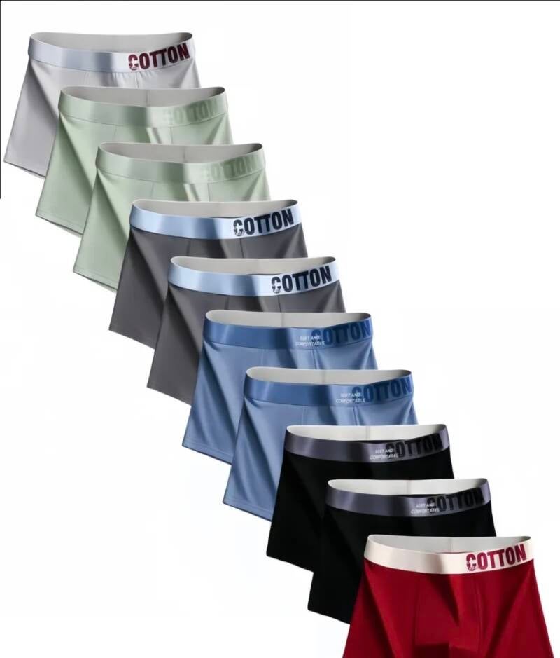 6-standard.jpg