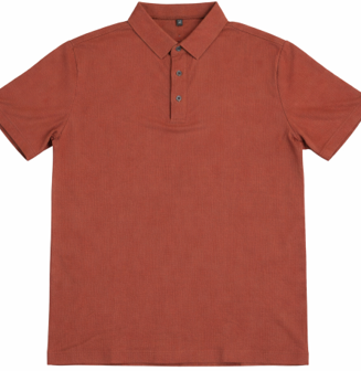 picture8-standard-nsdlzp.png