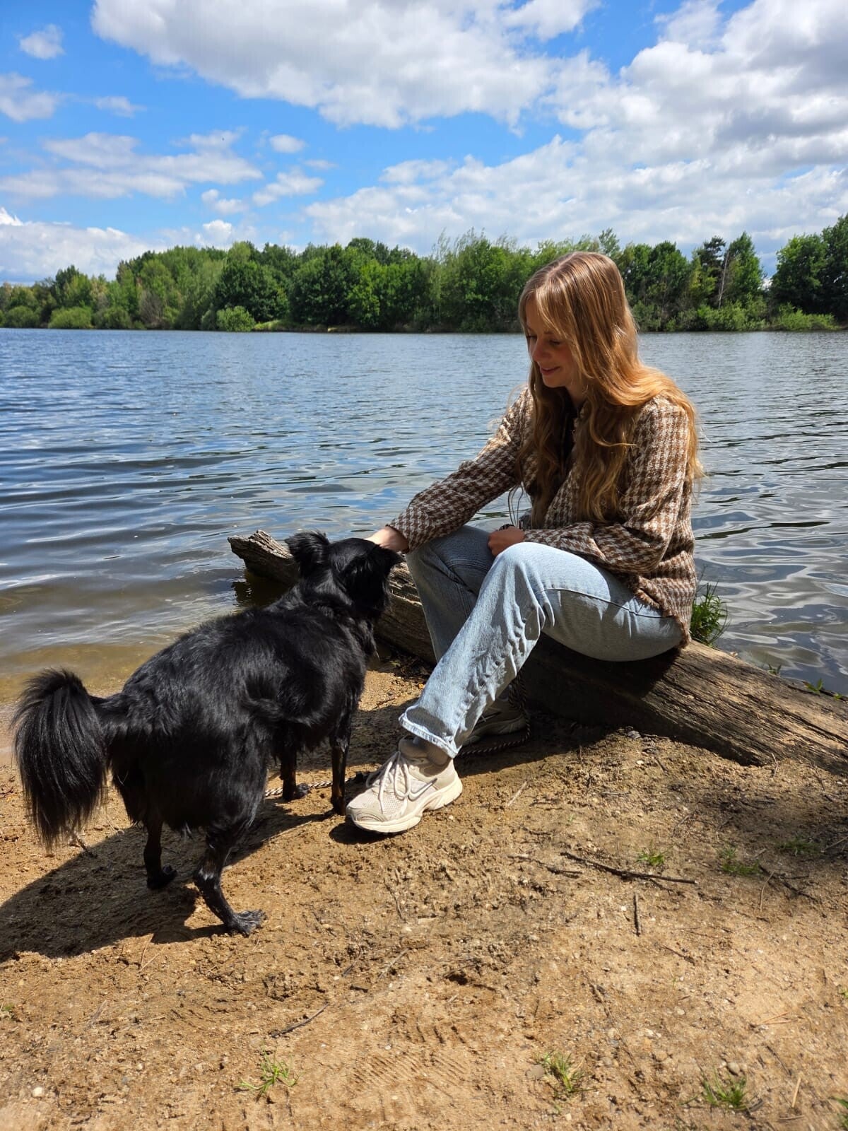 Over ZISKA hondengedragstherapie