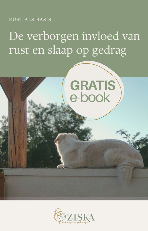 Gratis e-book downloaden