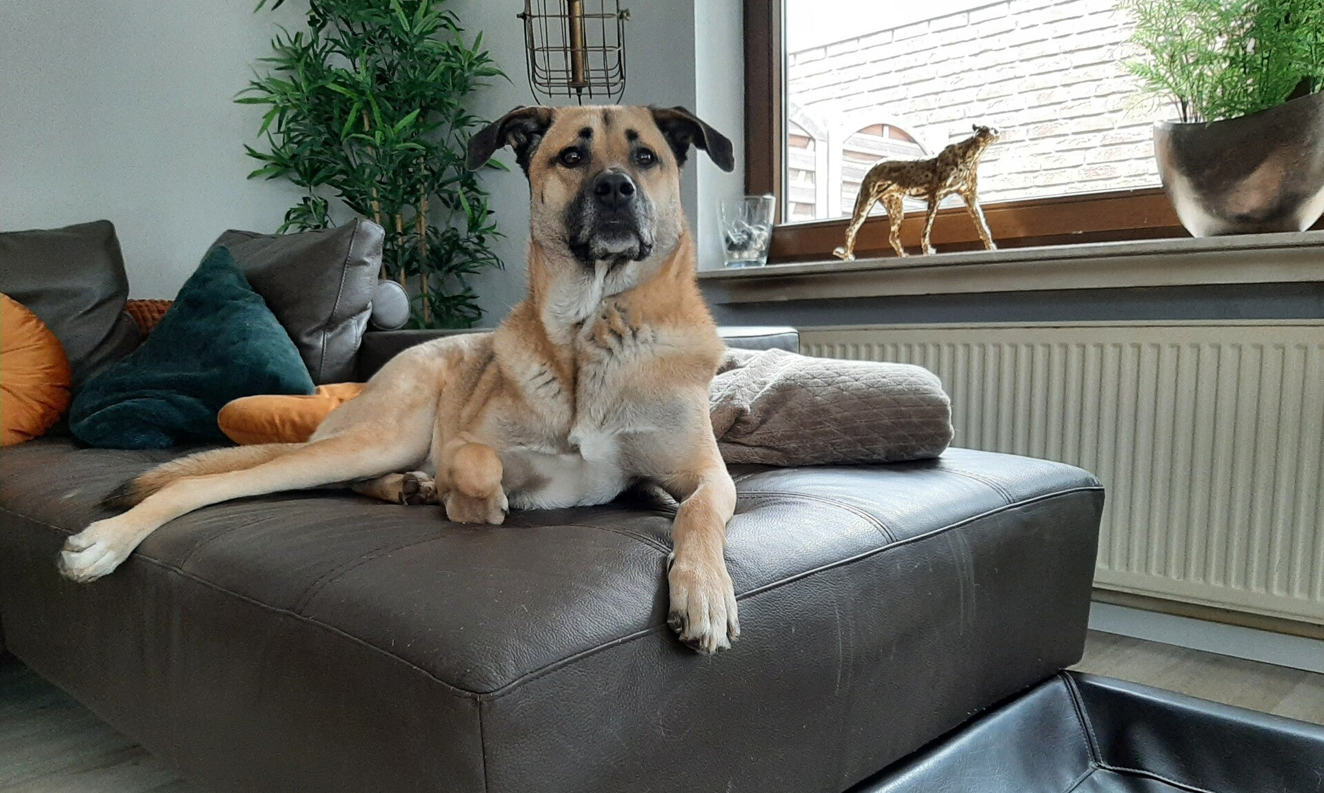 Impulscontrole oefenen