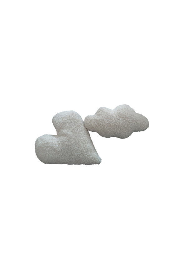 Lot de deux coussins