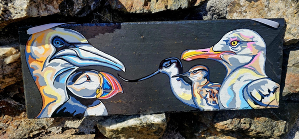 Collection of Sea Birdies