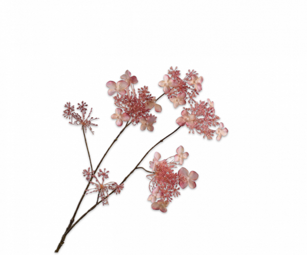 Hortensia roze klein