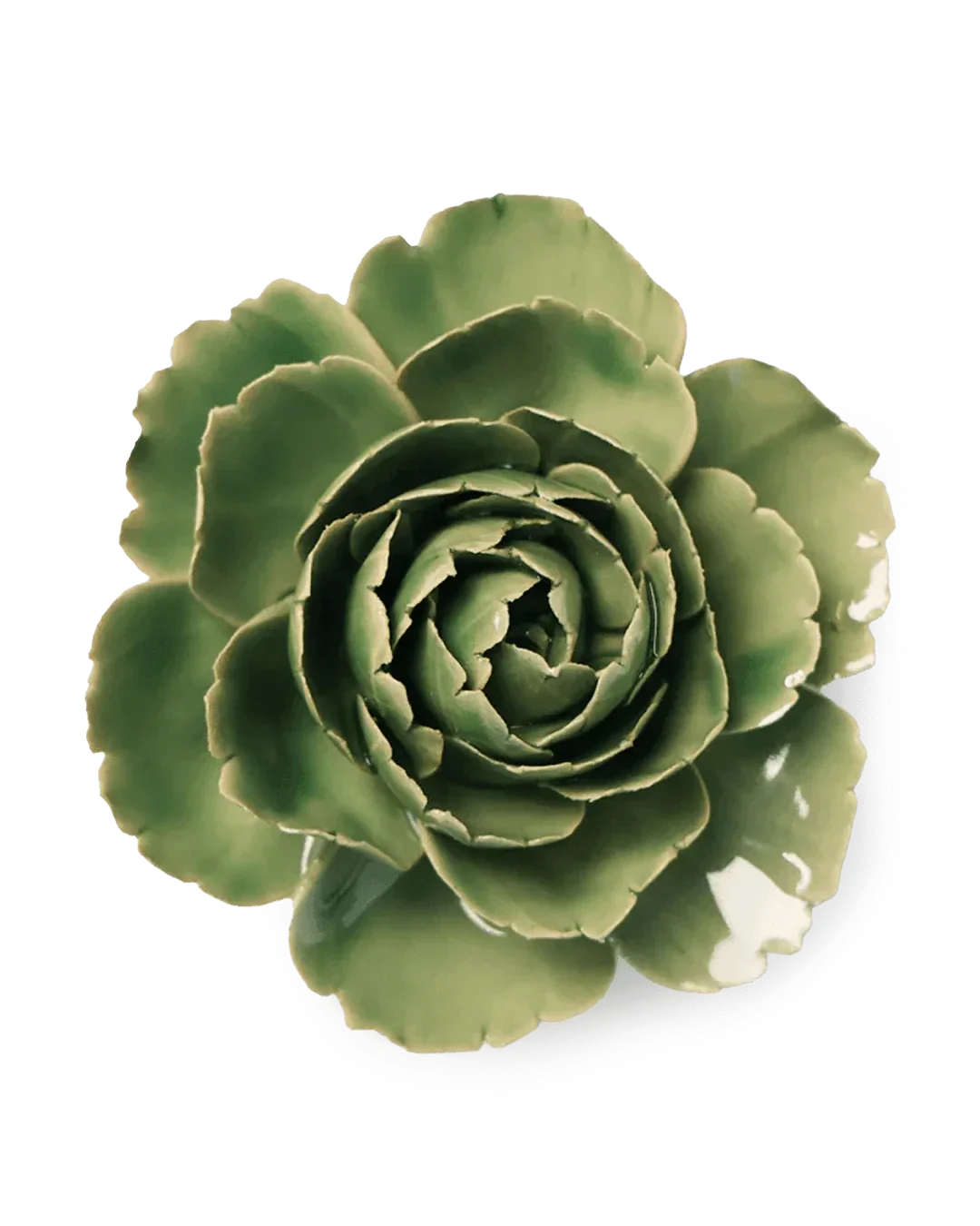 EG30 Jade Green English Rose