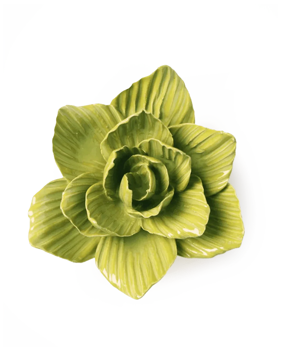 EG33 Chartreuse Gladiolus