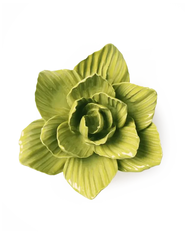 EG33 Chartreuse Gladiolus