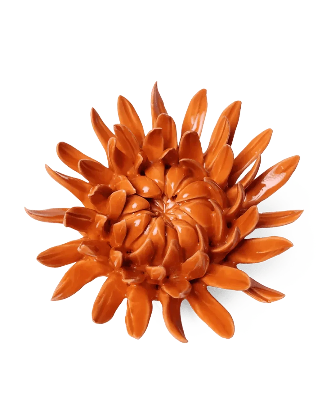 EG35 Orange Sarah Mum