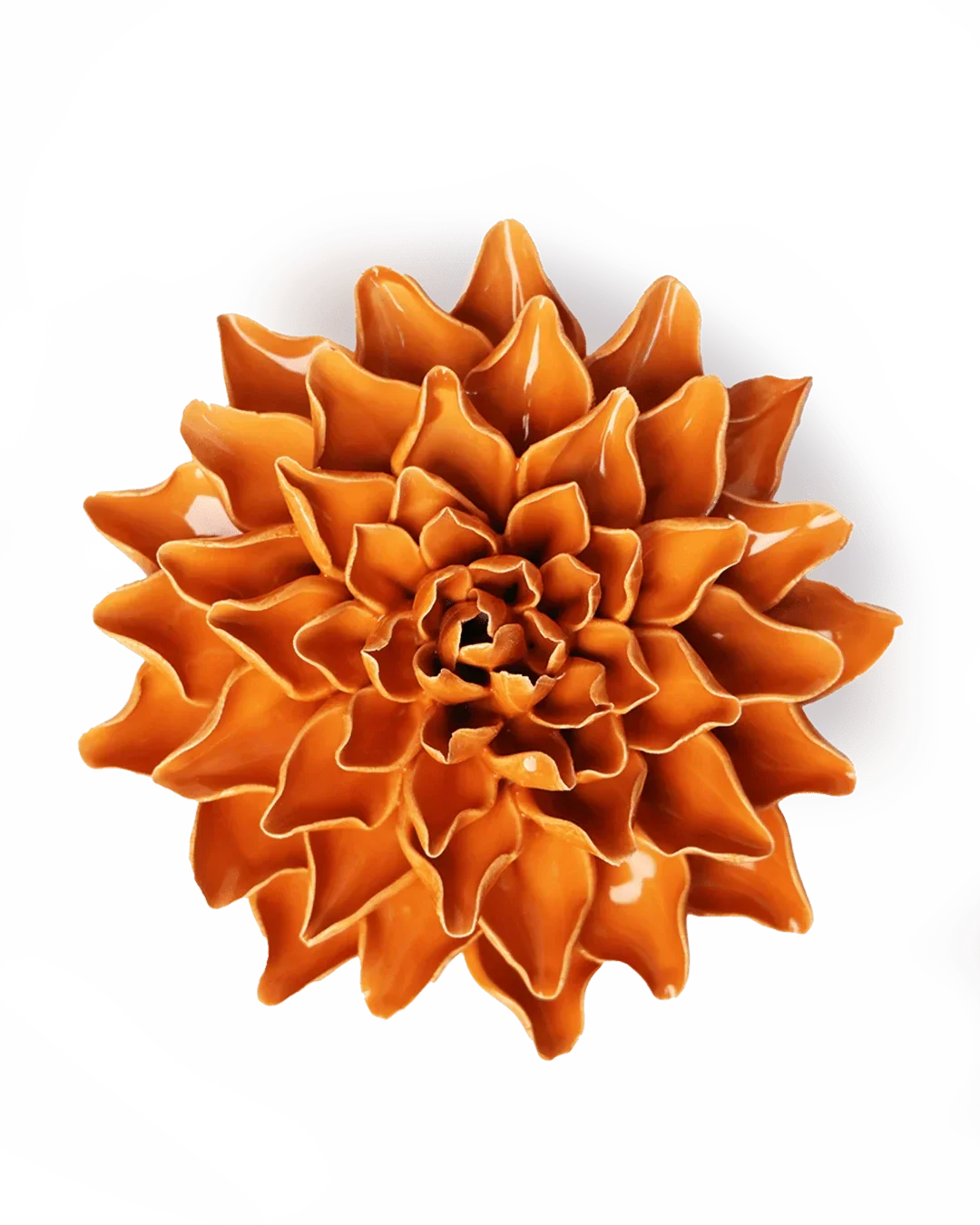 EG40 Orange Autumn Azalea