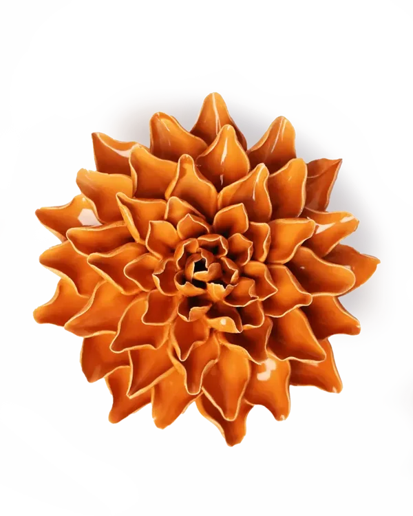 EG40 Orange Autumn Azalea