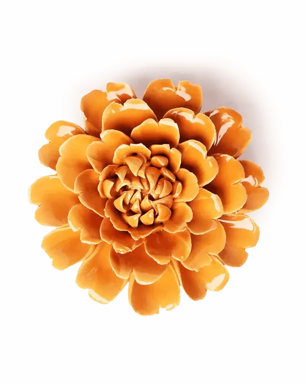 EG44 Orange Fiesta Marigold