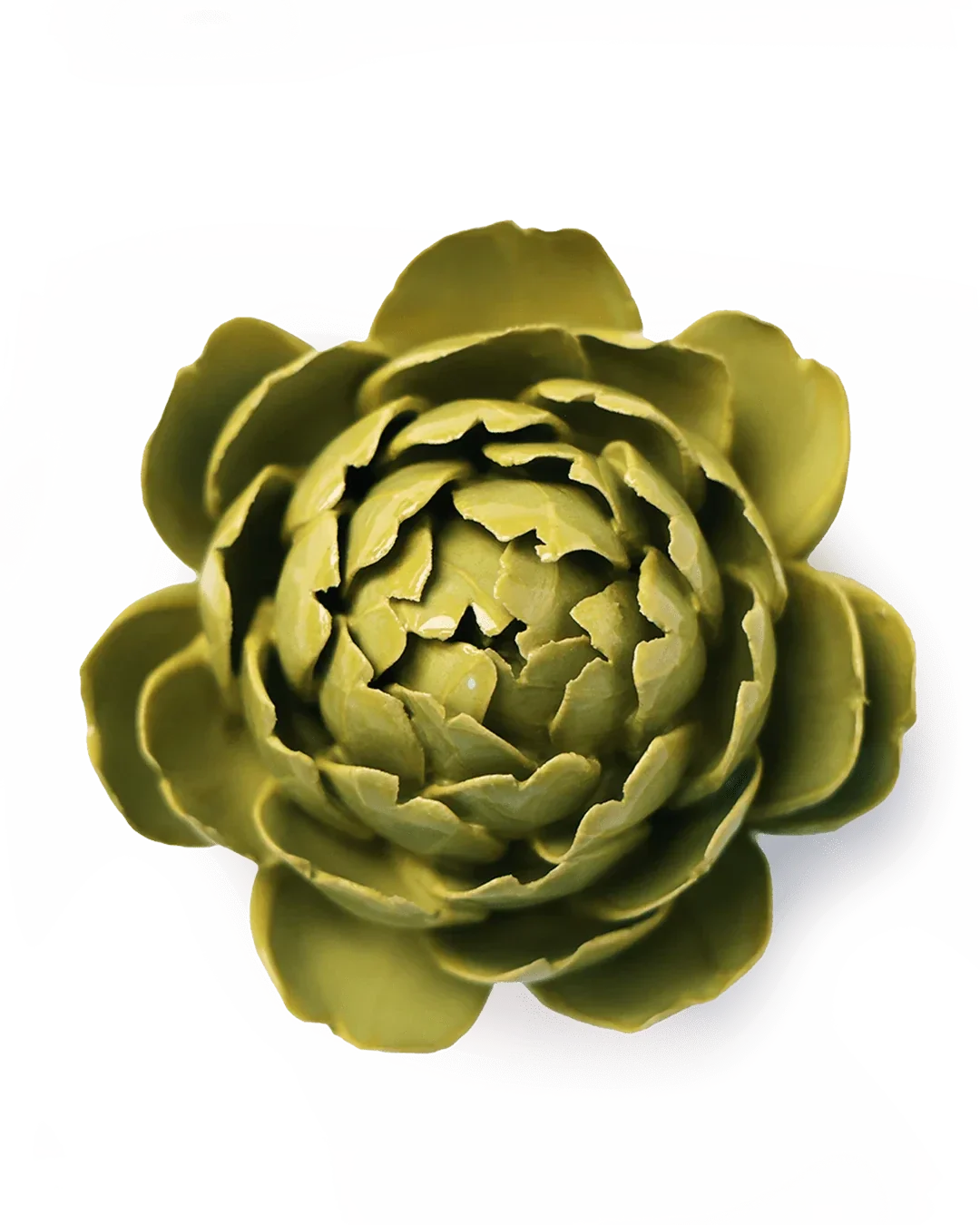 EG46 Chartreuse Queen Protea