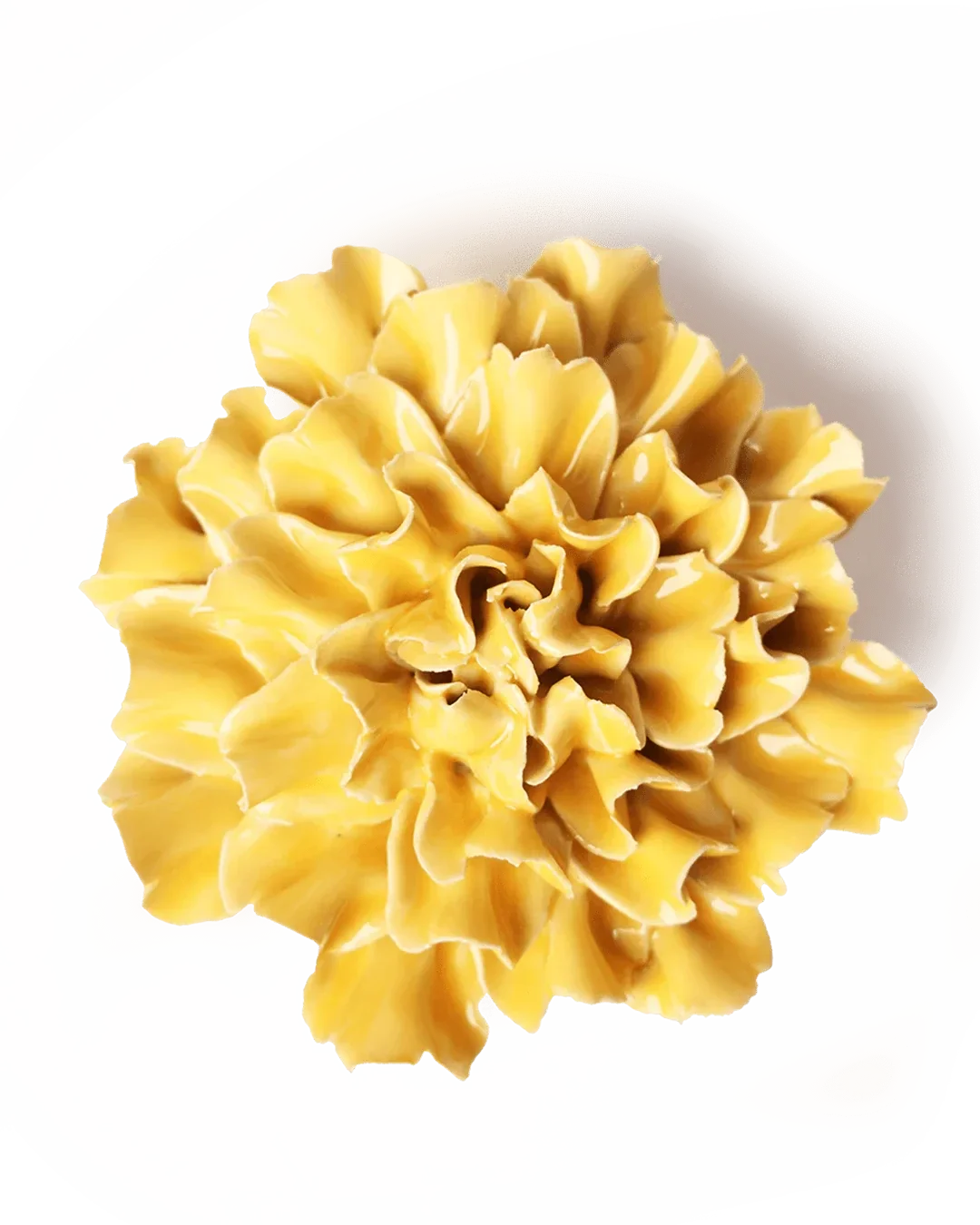 EG48 Burnt Yellow Tundra Carnation