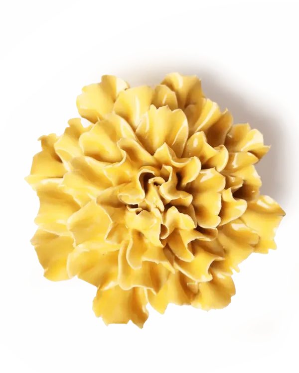 EG48 Burnt Yellow Tundra Carnation