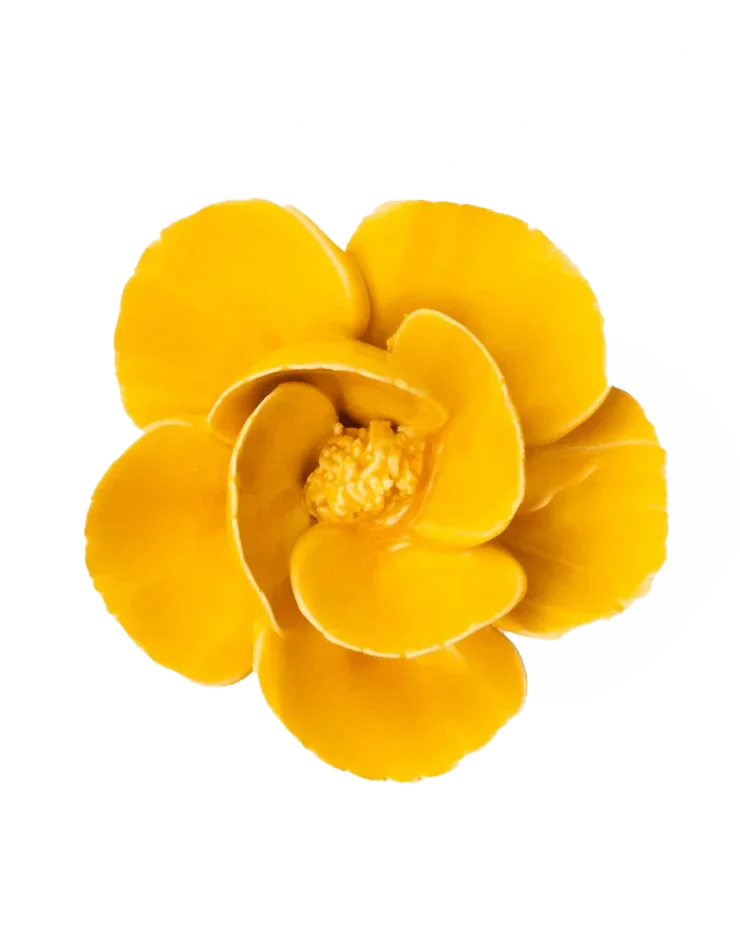 FR06 Burnt Yellow Poppy