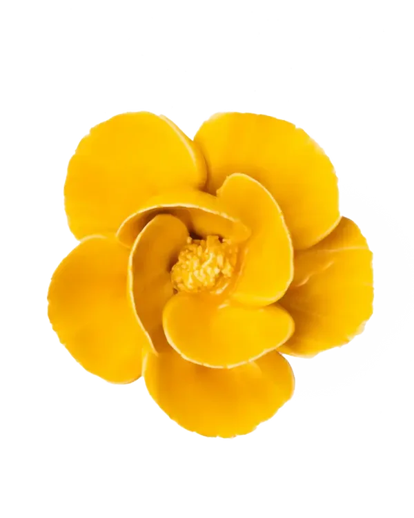 FR06 Burnt Yellow Poppy