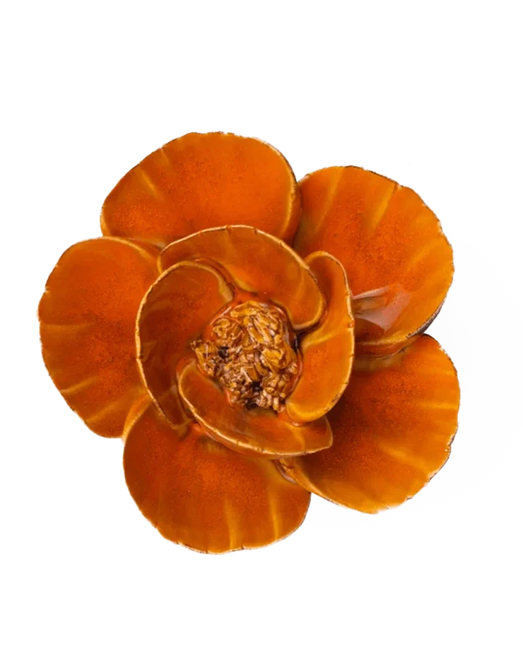 FR08 Burnt Orange Poppy
