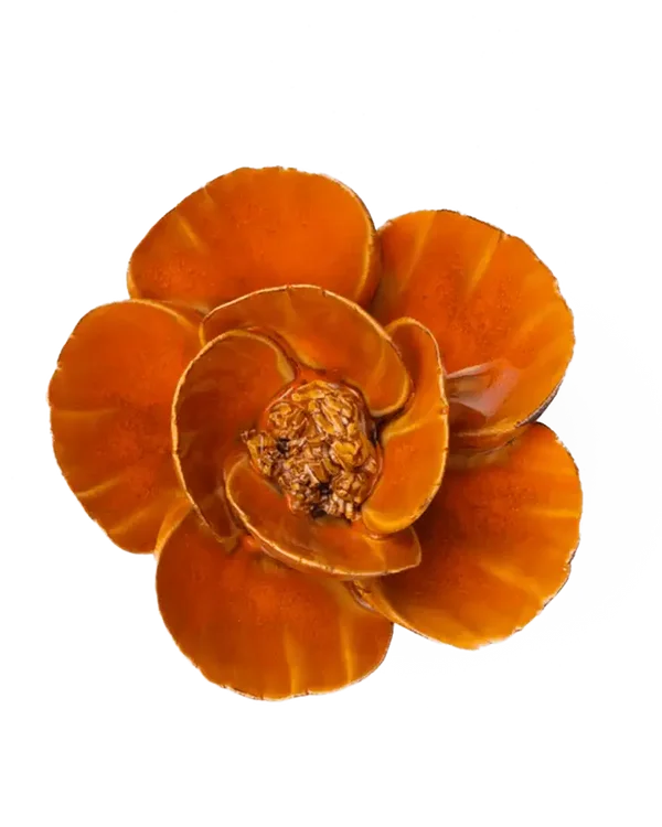 FR08 Burnt Orange Poppy