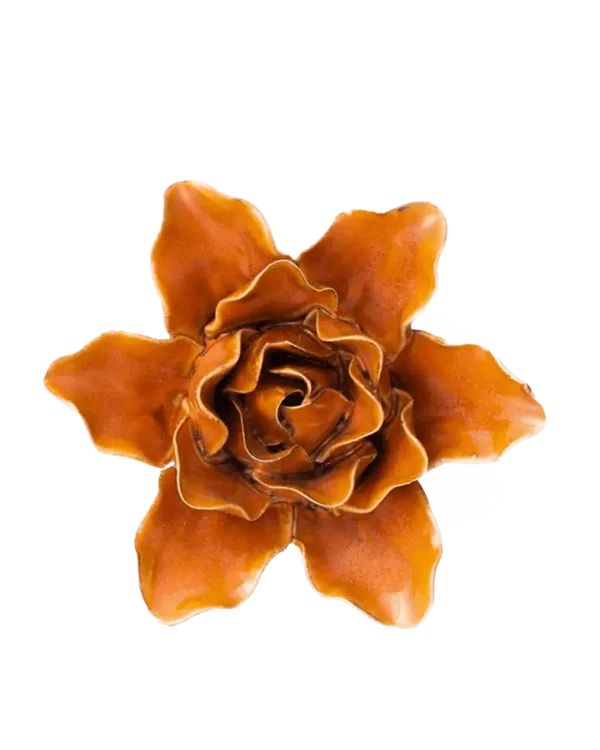 FR13 Verbrande Oranje Sterrenkijker Lelie