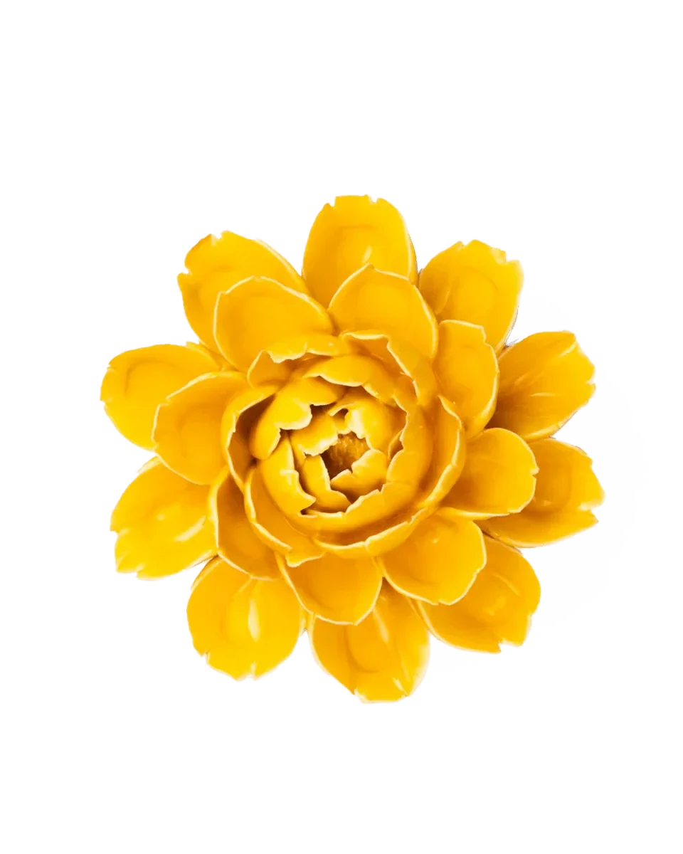 FR14 Burnt Yellow Empire Cabbage Flower