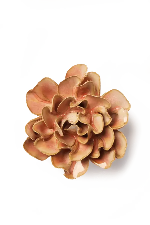 FR19 Rose Pink Hawthorn