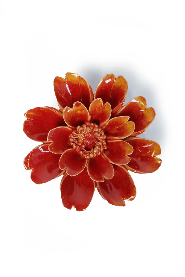 FR29 Orange Yellow Paris Daisy