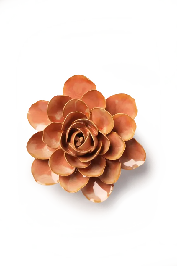 FR35 Peach Pink Begonia