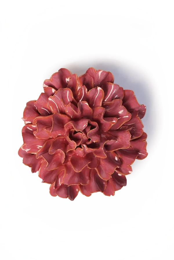 FR36 Blush Pink Tundra Carnation