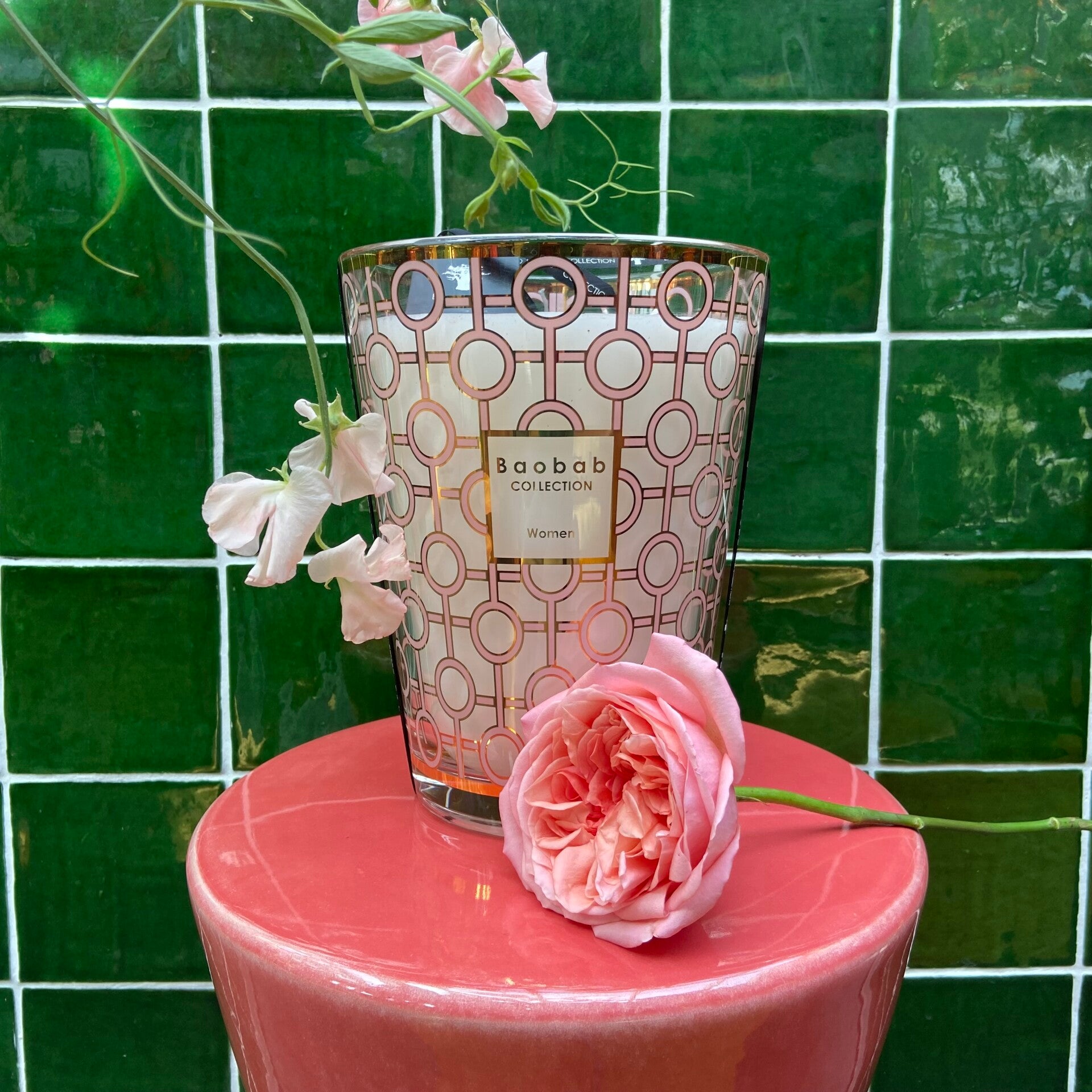 Baobab 'Women' MAX 24