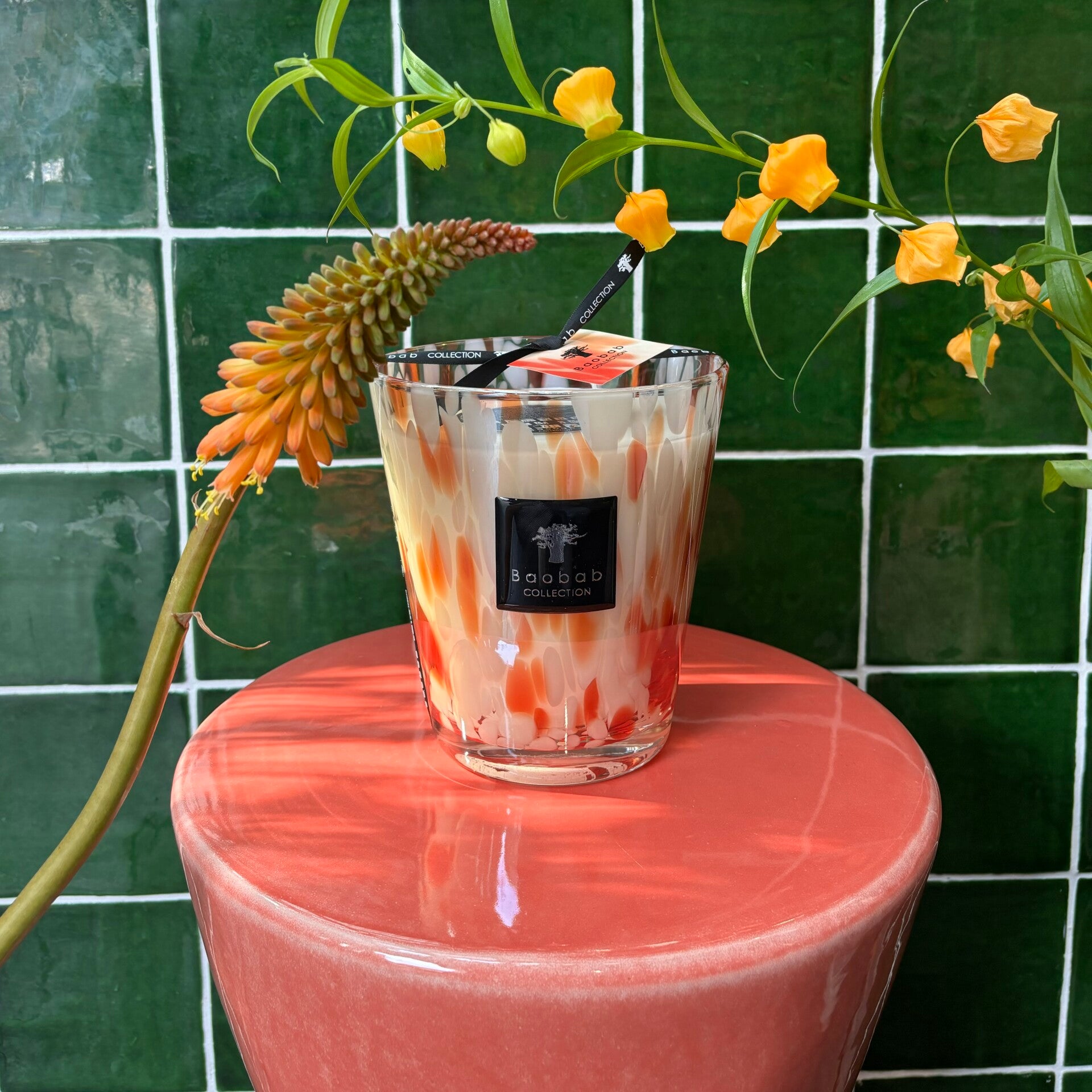 Baobab 'Pearls Coral' Max 16