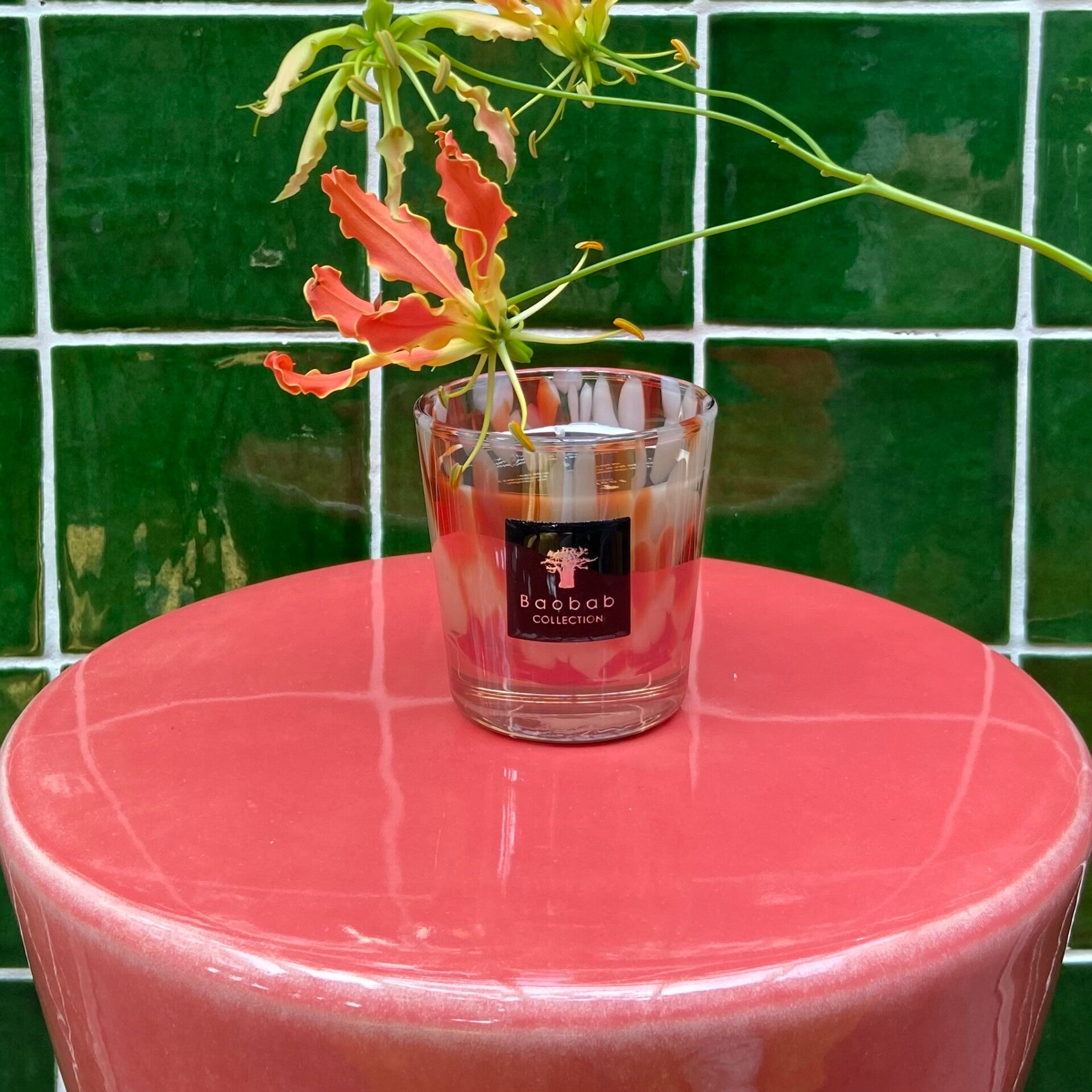 Baobab 'Pearls Coral' Max 08
