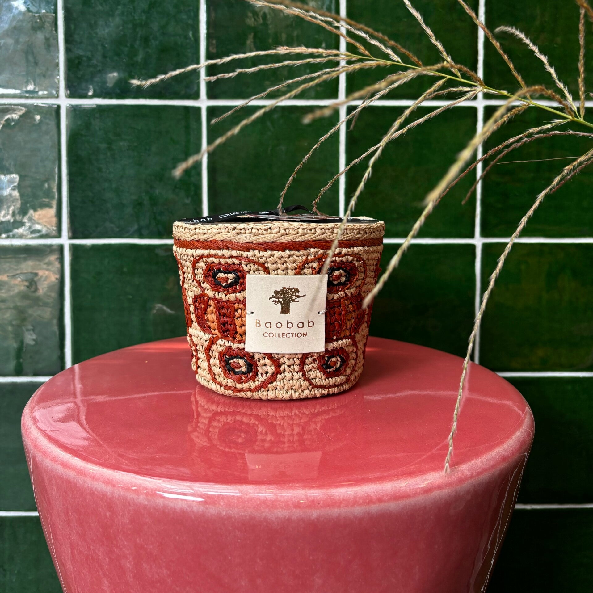 Baobab 'Doany Alasora' Max 10