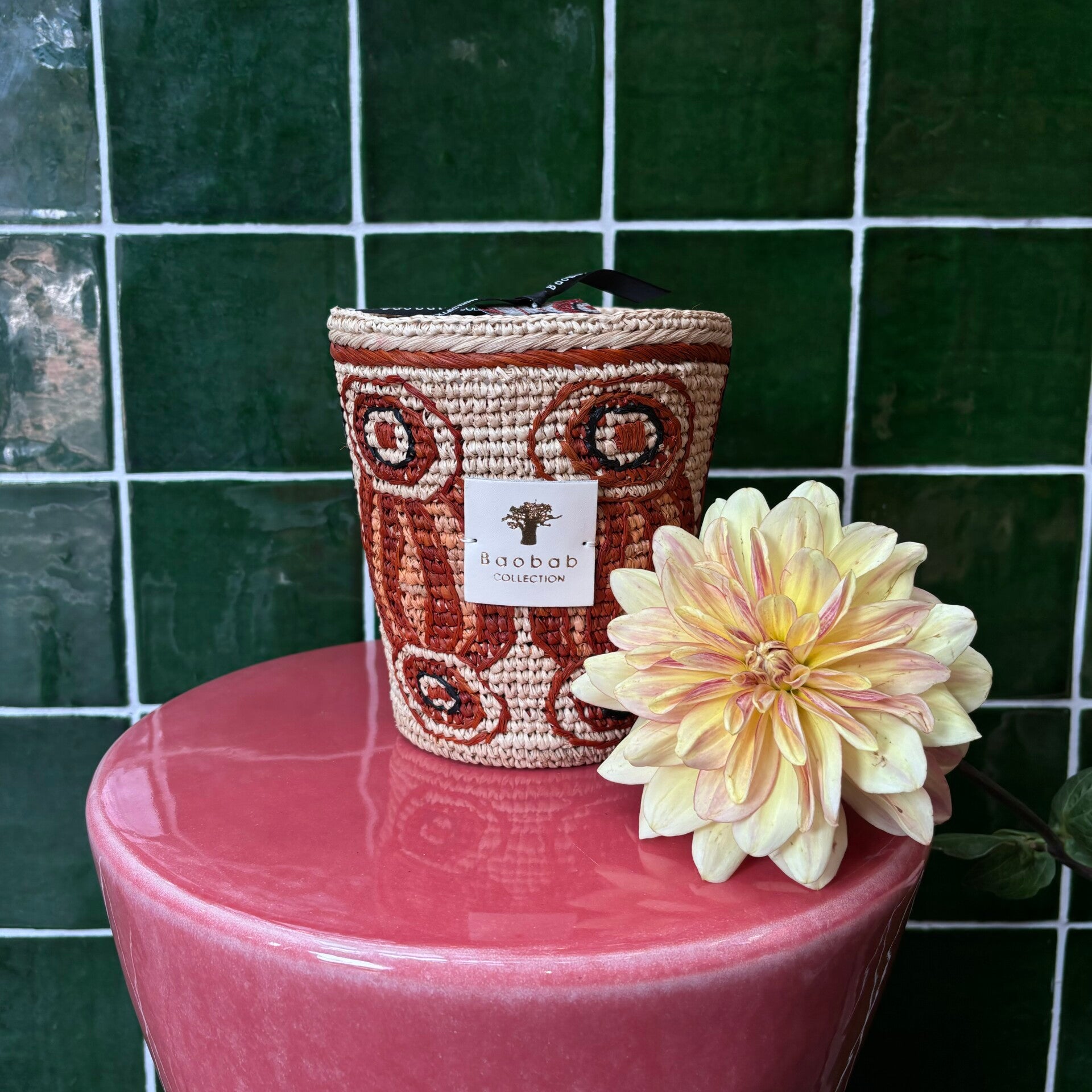 Baobab 'Doany Alasora' Max 16