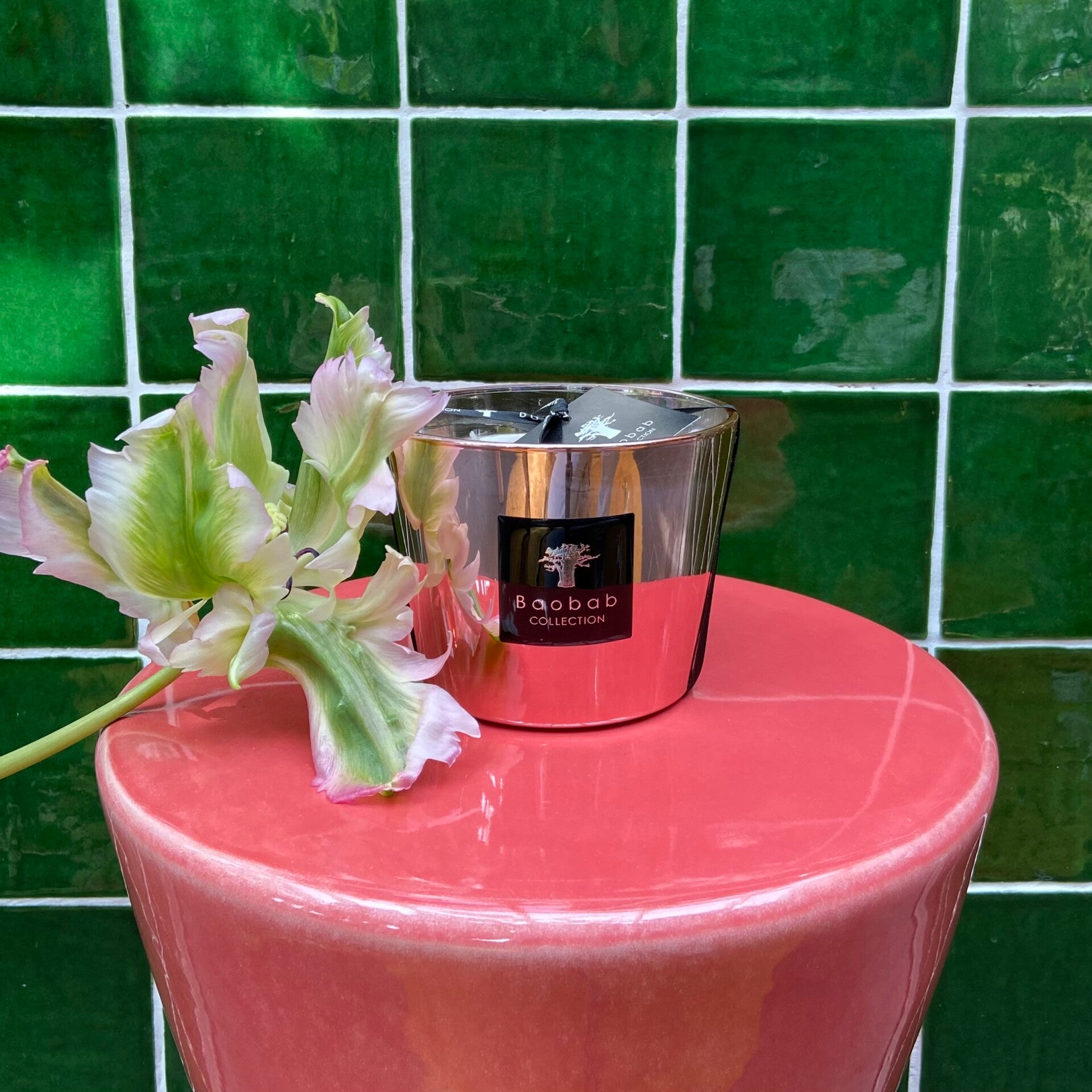 Baobab 'Les Exclusives Roseum' Max 10