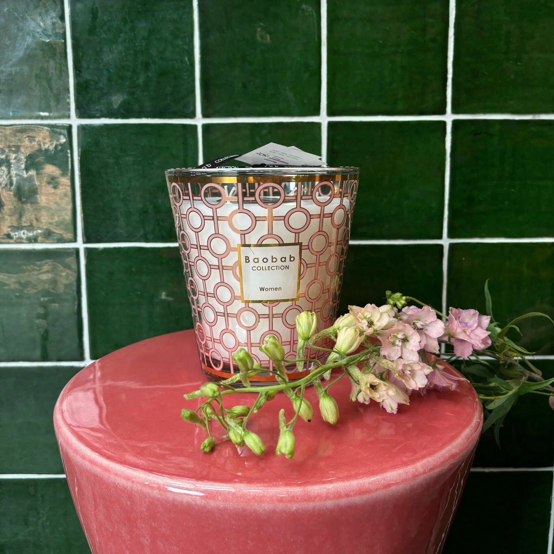 Baobab 'Women' MAX 16