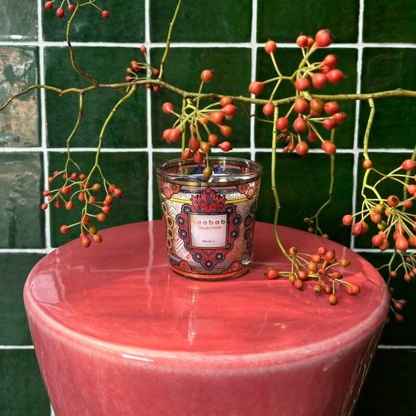 Baobab 'Mexico' Max 08