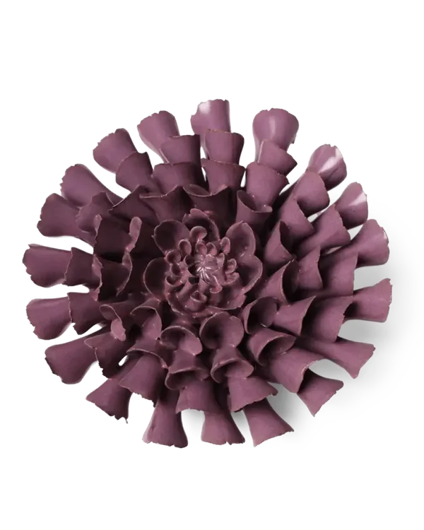 JA02 Violetblauwe Kornoelje Dahlia