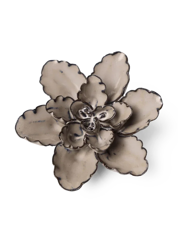 JA05 Latte Empress Lotus