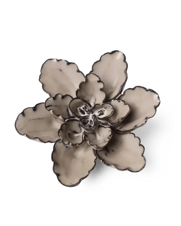 JA05 Latte Empress Lotus