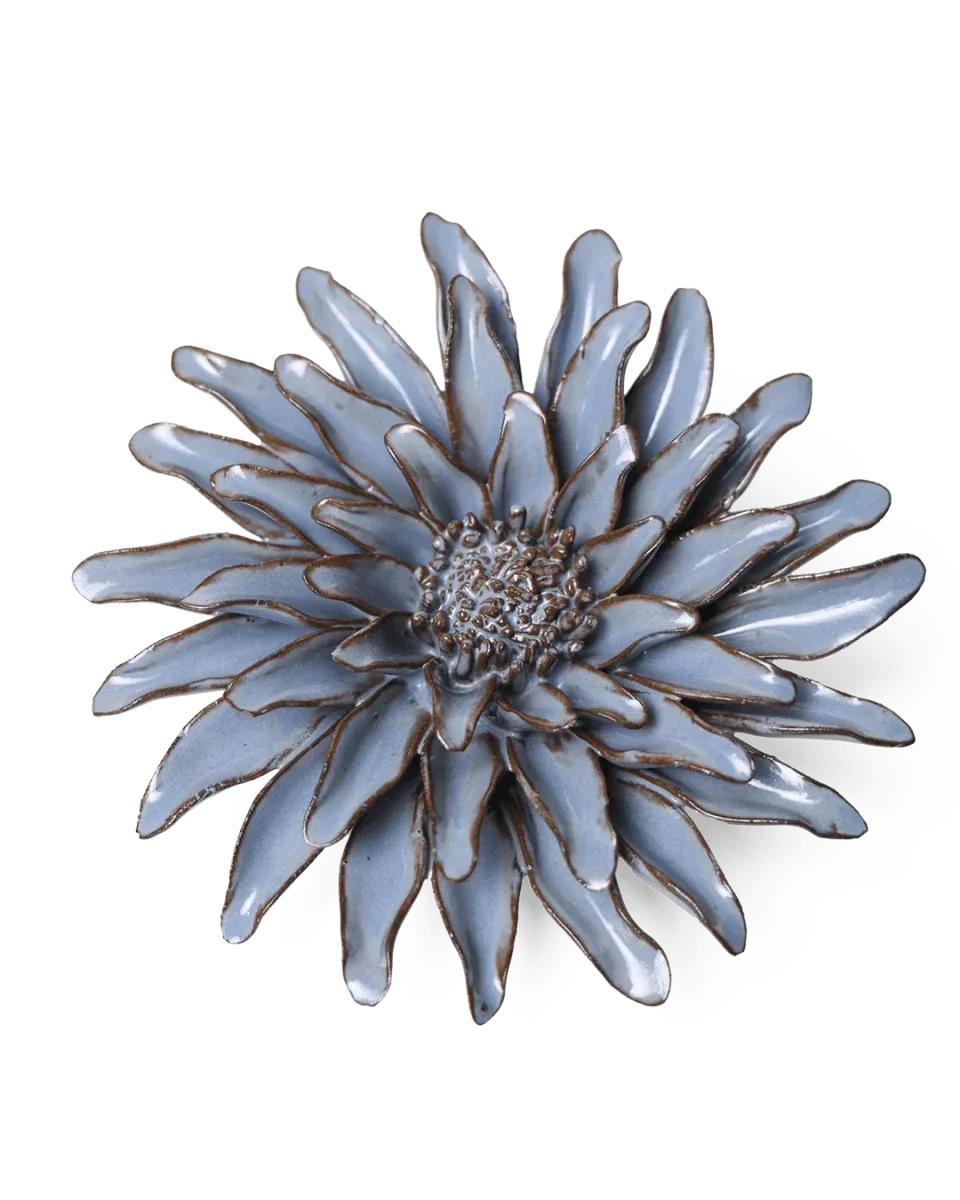 JA14 Blue Grey Gerbera Daisy