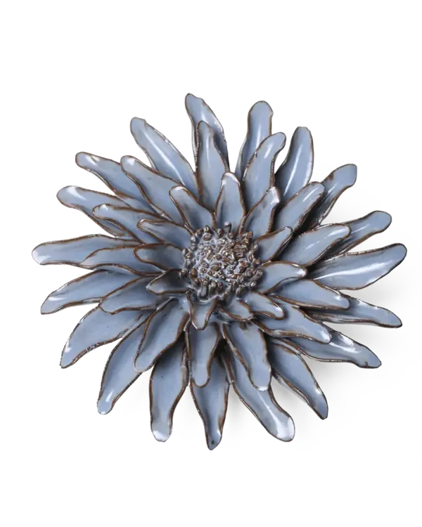 JA14 Blue Grey Gerbera Daisy