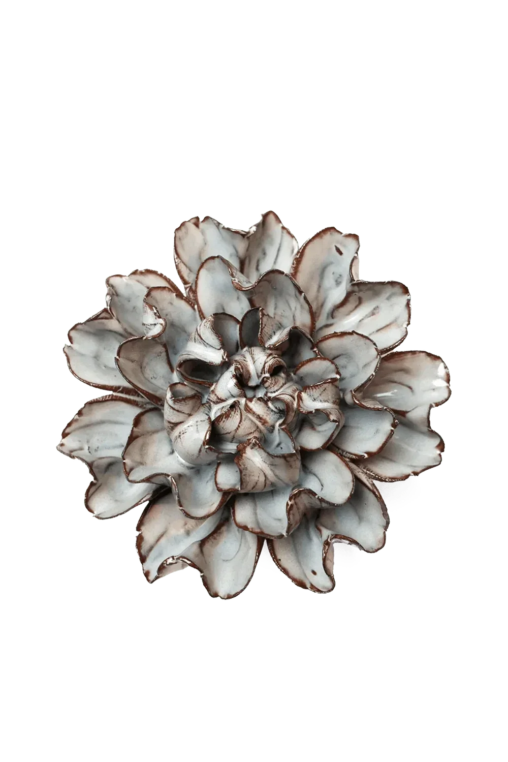 JA15 Chocolate Mint Echo Lisianthus