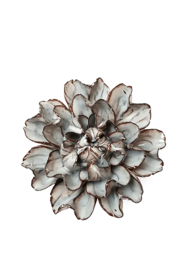 JA15 Chocolate Mint Echo Lisianthus