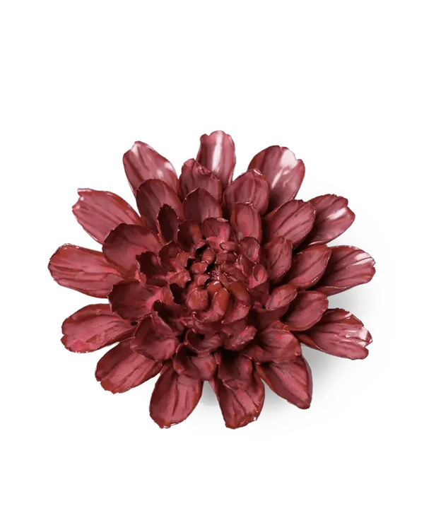 JA17 Blush Pink Star Dahlia