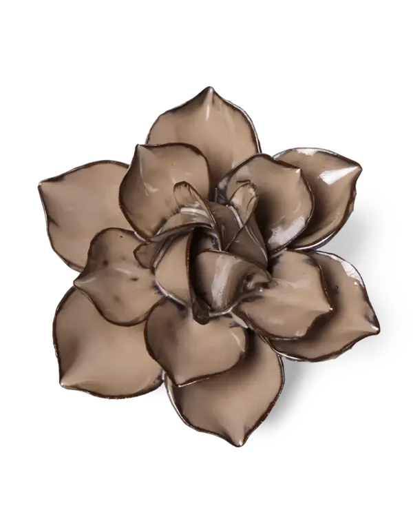 Perzik Mokka Korenbloem #JA18 Latte Narcis