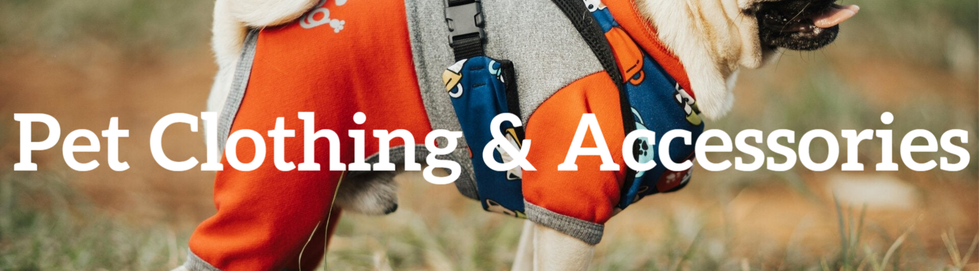 A stylish dog dressed in a fashionable outfit with a secure harness, ready for an adventure