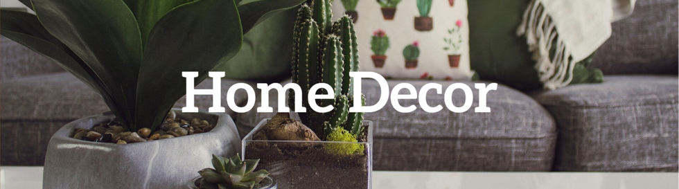 A modern sofa complemented by vibrant plants, adding warmth to the room.