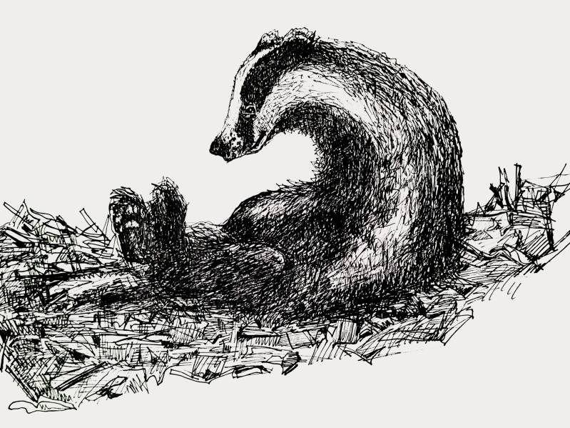 das pentekening expositie linedrawing