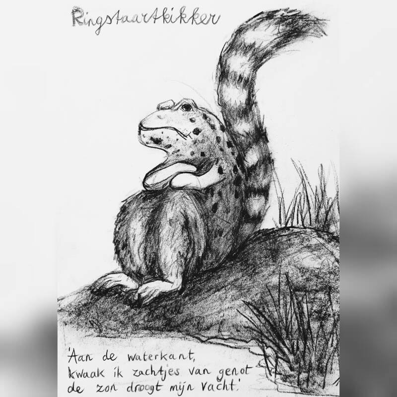 ringstaart kikker kinderen tekenles