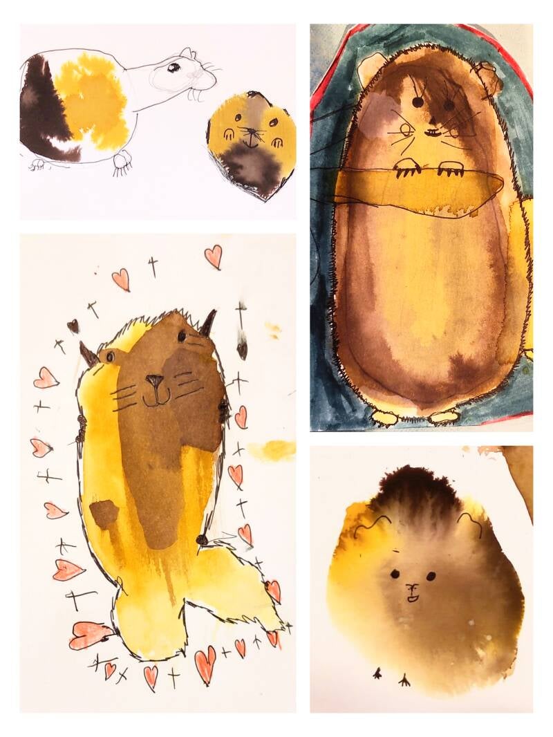 cavia tekenles kinderen tekenen